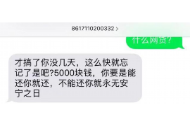 辽阳为什么选择专业追讨公司来处理您的债务纠纷？